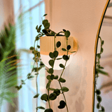 Arandela com Vaso de Plantas EcoDesign