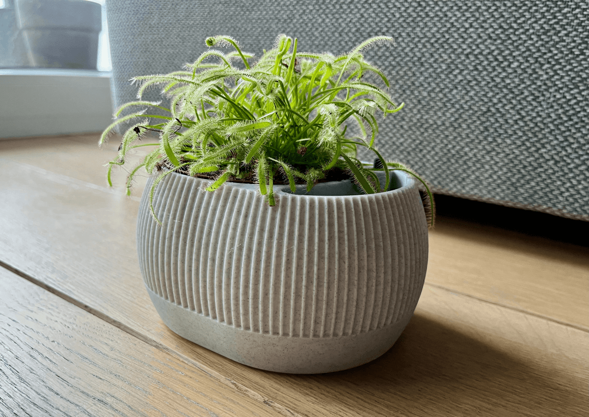 Vaso Autoirrigável com Nível de Água - Iris - Criativalia