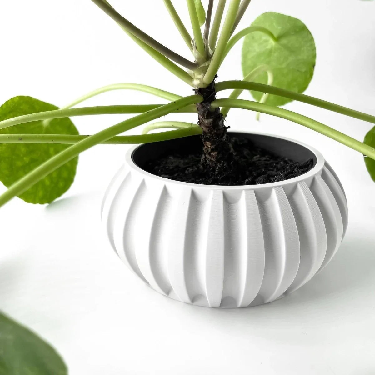 Vaso de Planta Alden - Criativalia