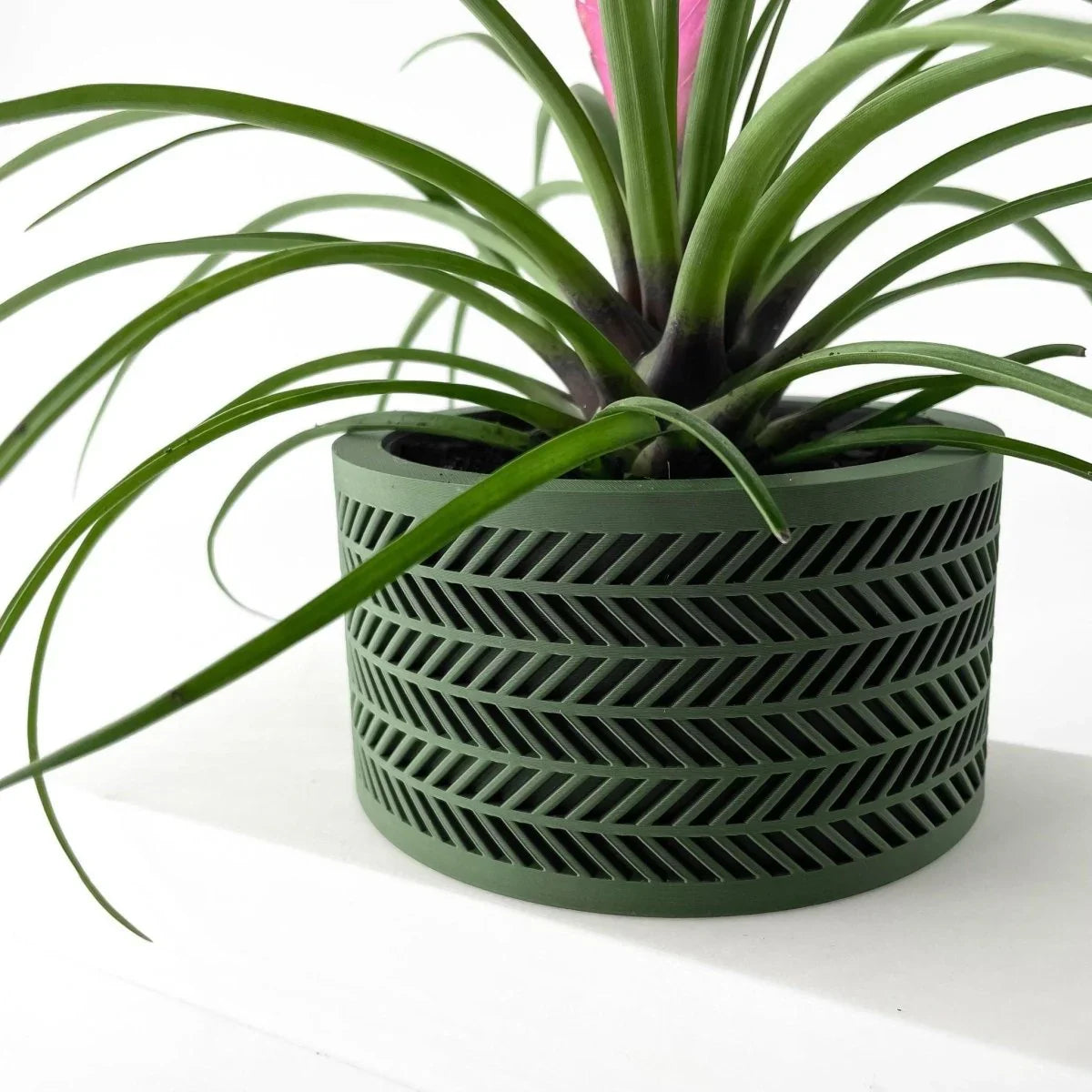 Vaso de Planta Alune - Criativalia