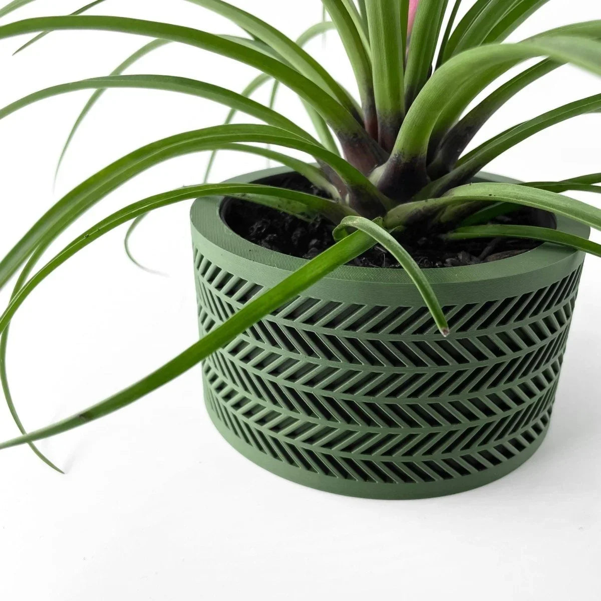 Vaso de Planta Alune - Criativalia