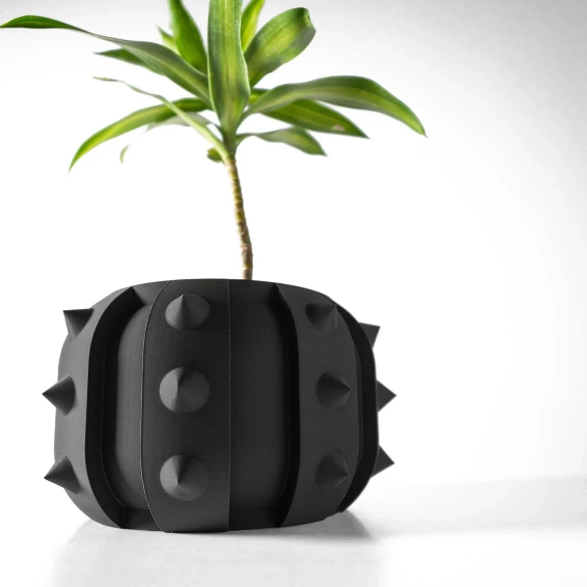 Vaso de Planta Alver - Criativalia