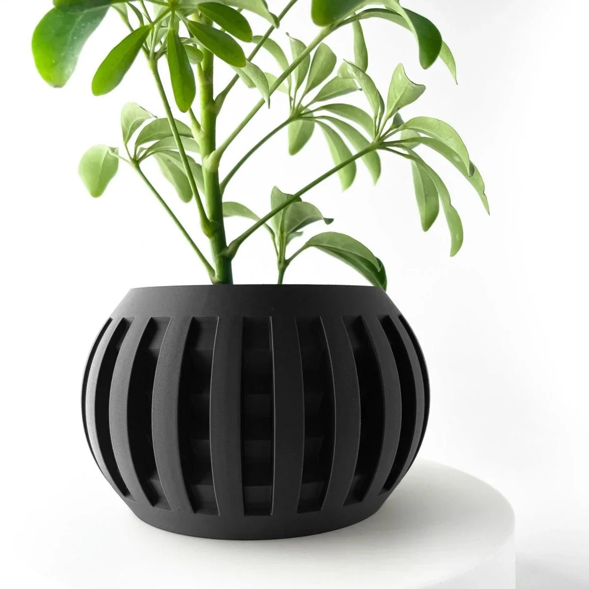 Vaso de Planta Amada - Criativalia