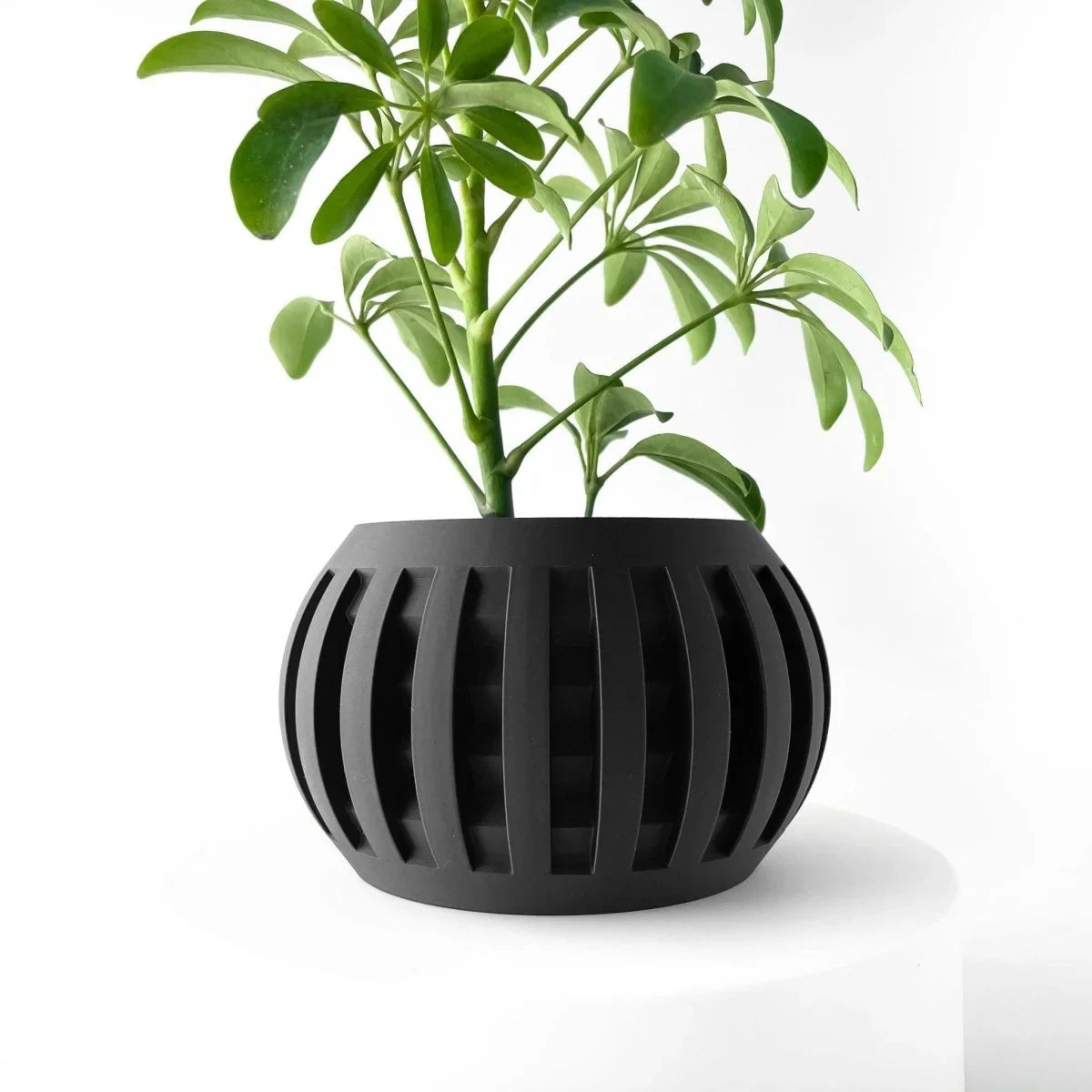 Vaso de Planta Amada - Criativalia