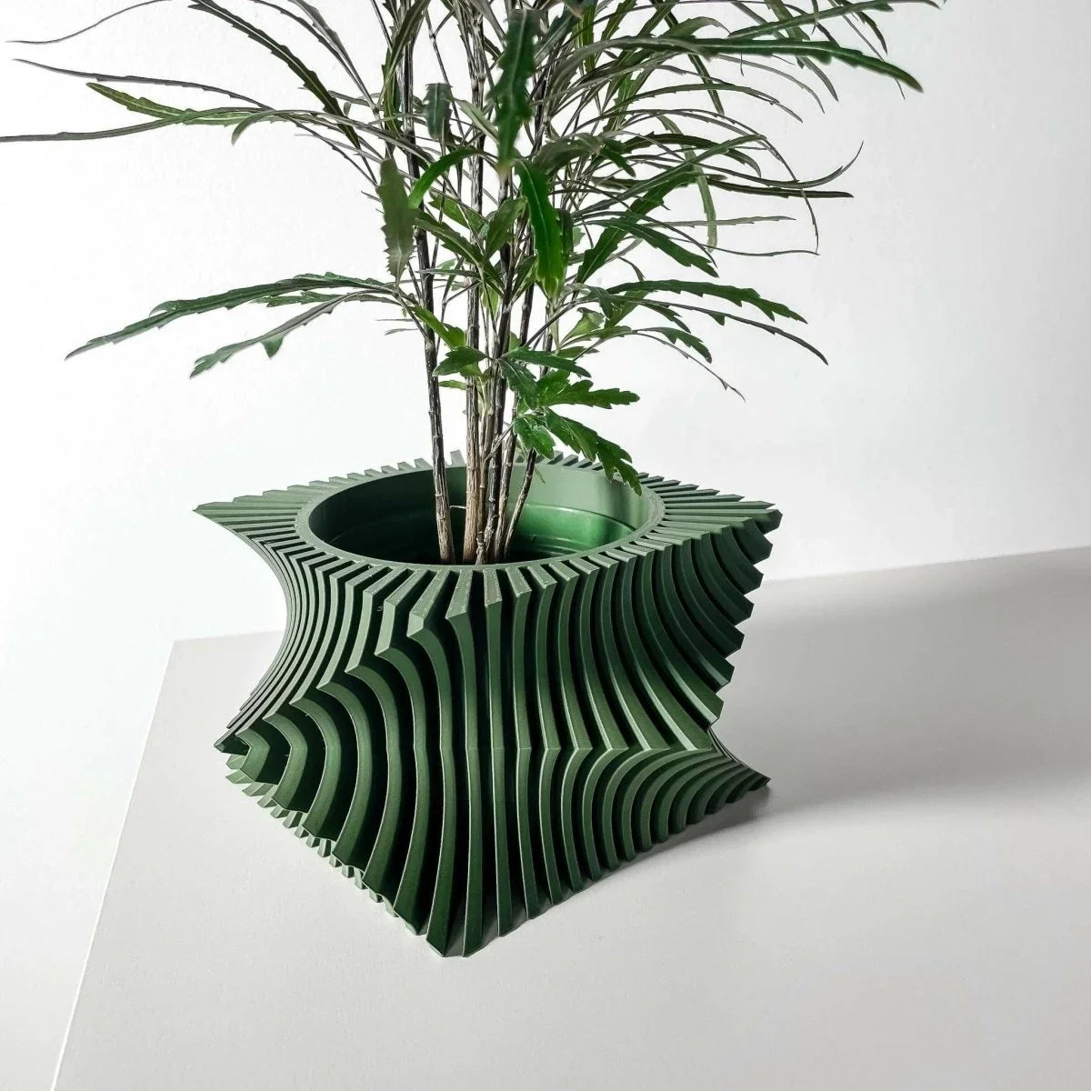 Vaso De planta Anio - Criativalia