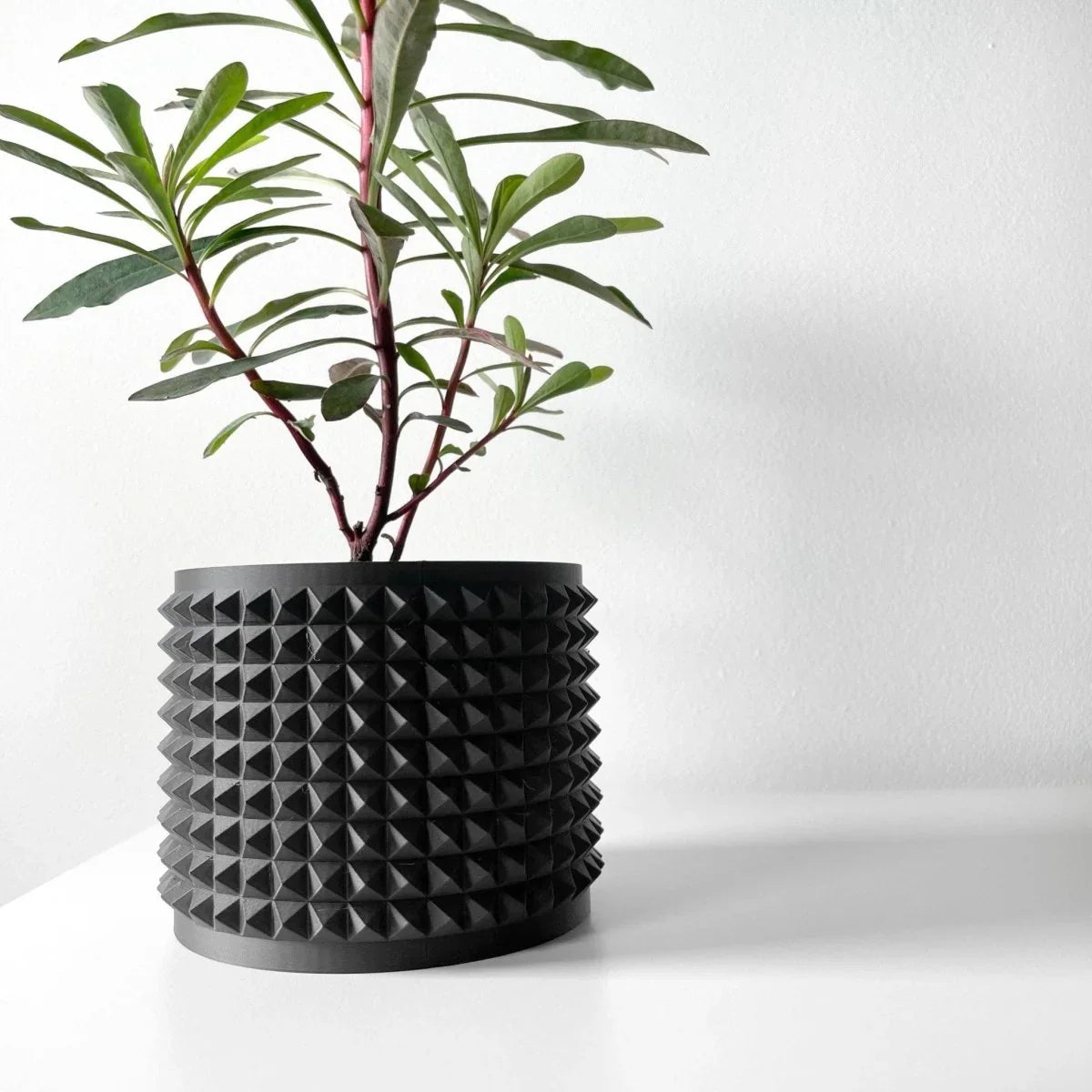 Vaso de Planta Anver - Criativalia