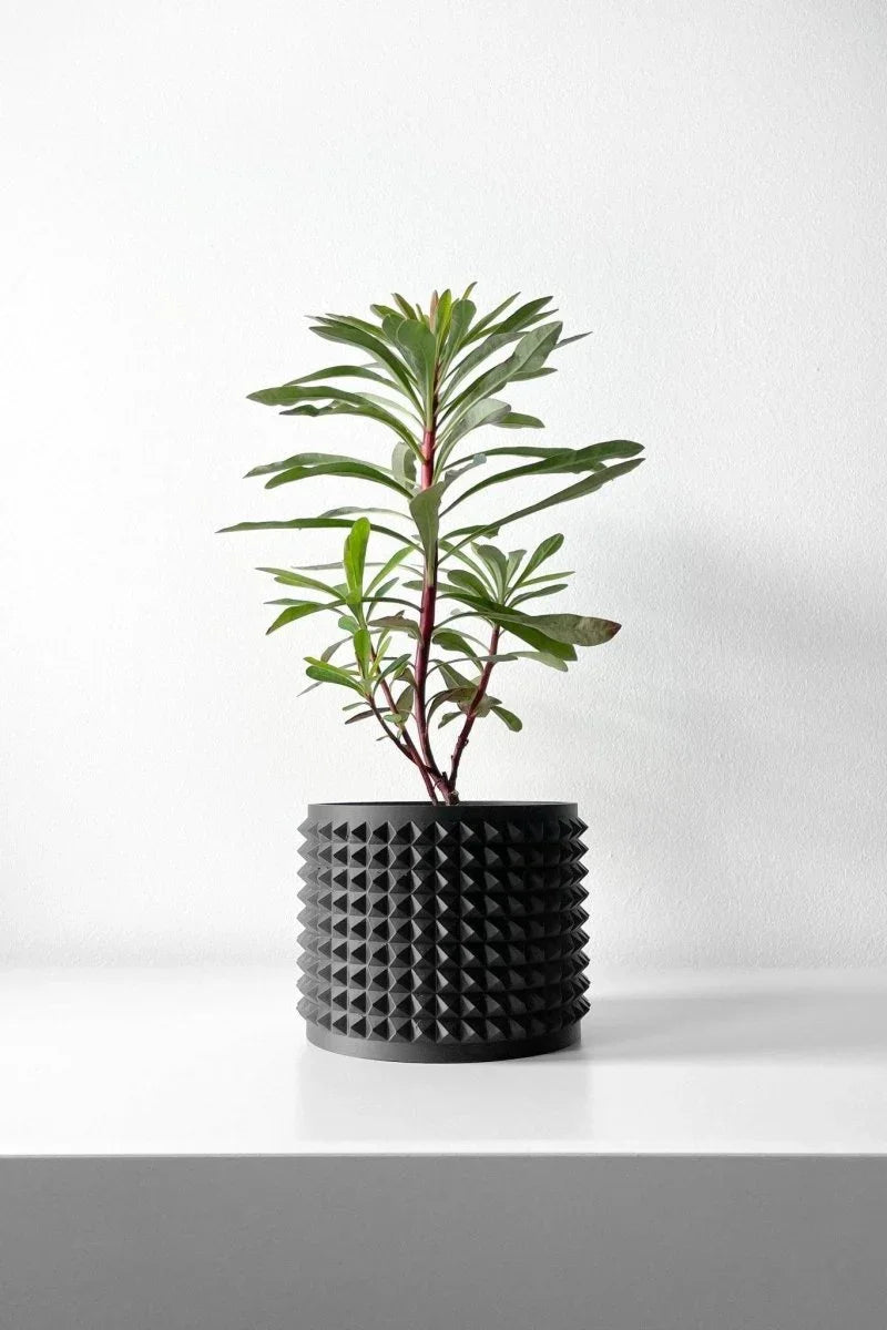Vaso de Planta Anver - Criativalia