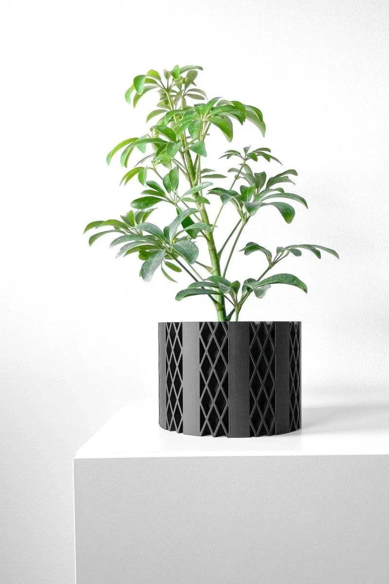 Vaso de Planta Arven - Criativalia
