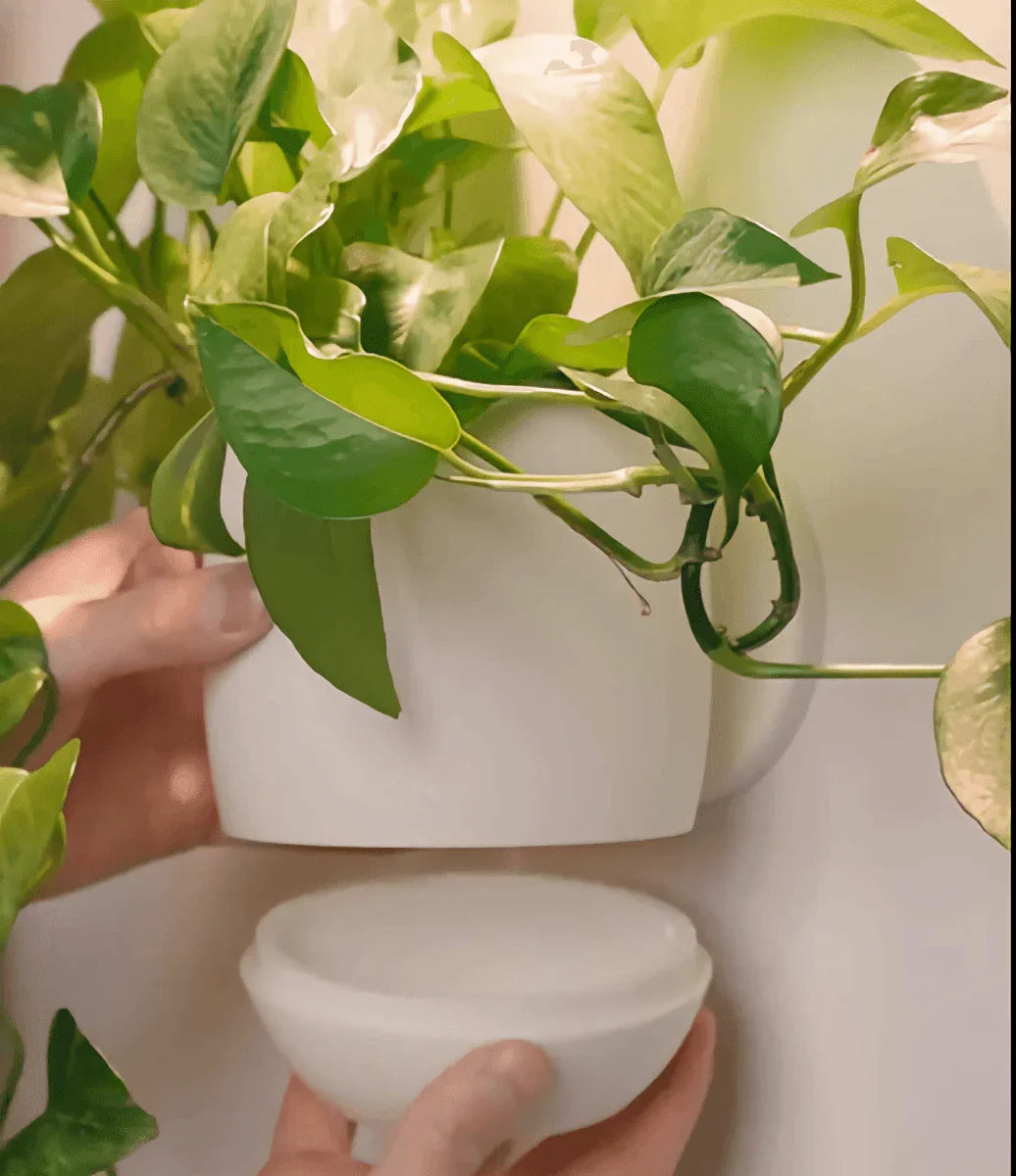 vaso de planta Arvyn - Criativalia
