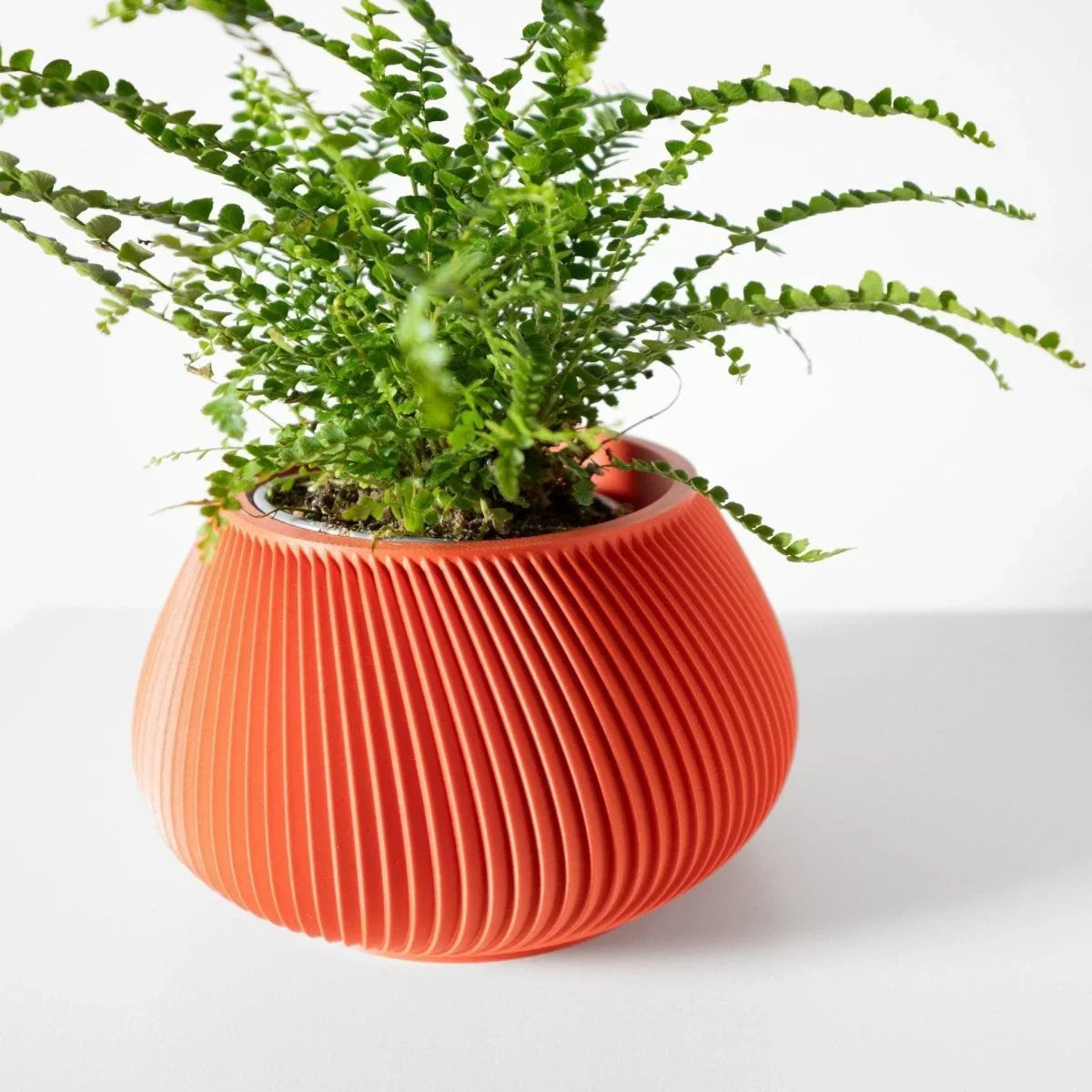 Vaso de Planta Davi - Criativalia