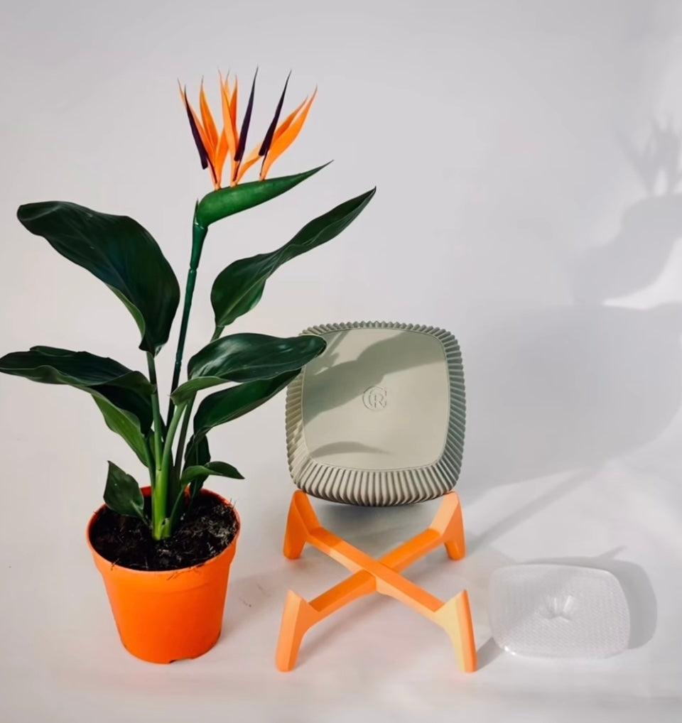 Vaso de planta Freya - Criativalia