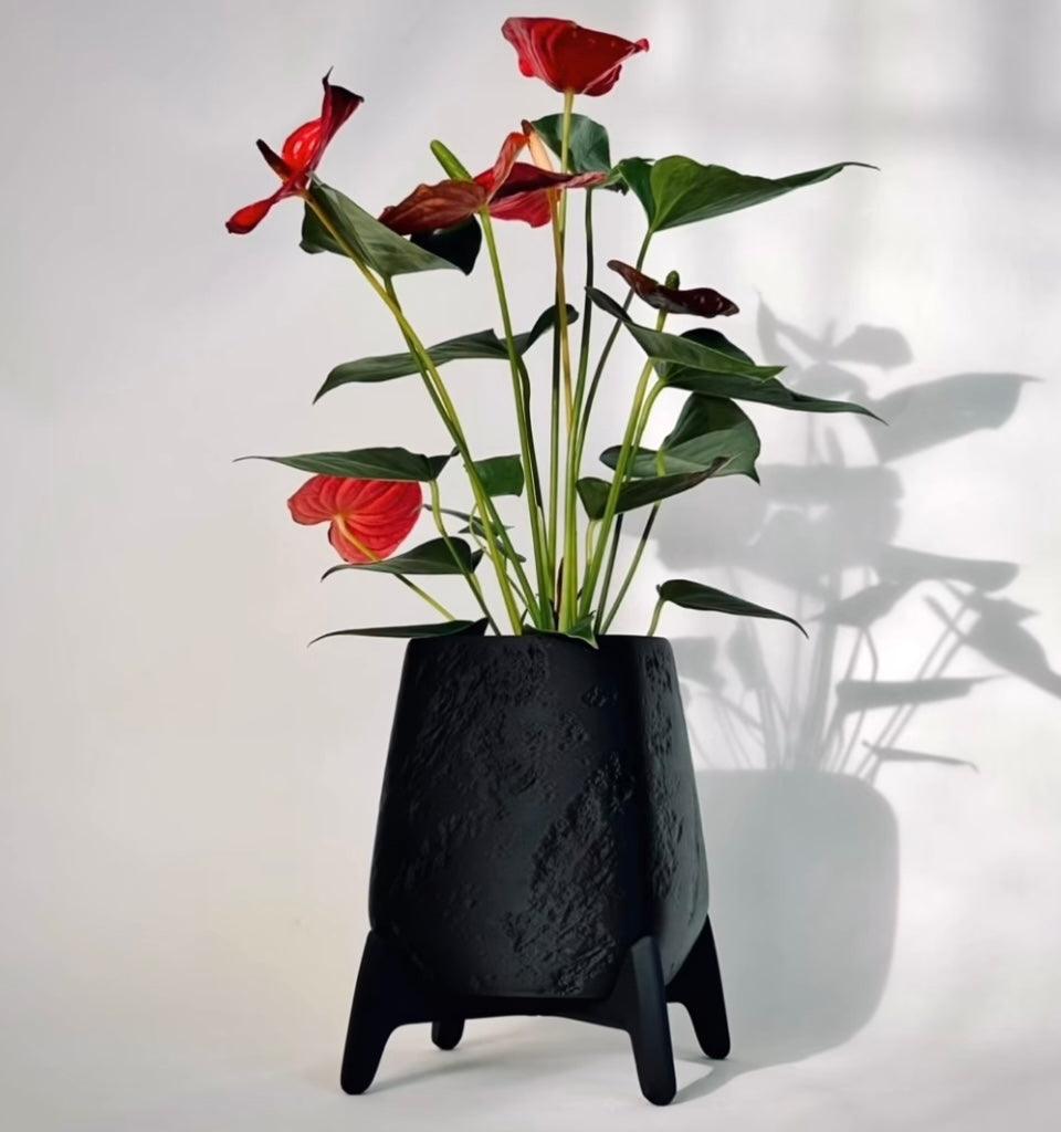 Vaso de planta Freya - Criativalia