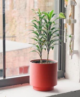 Vaso de Planta Harlow - Criativalia