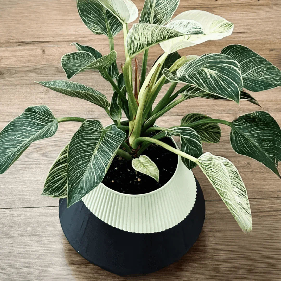 vaso de planta Pisa – autoirrigavel - Criativalia