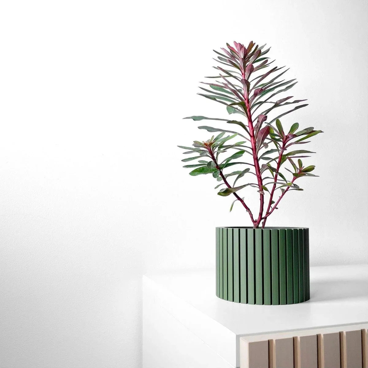 Vaso de Planta Zelno - Criativalia