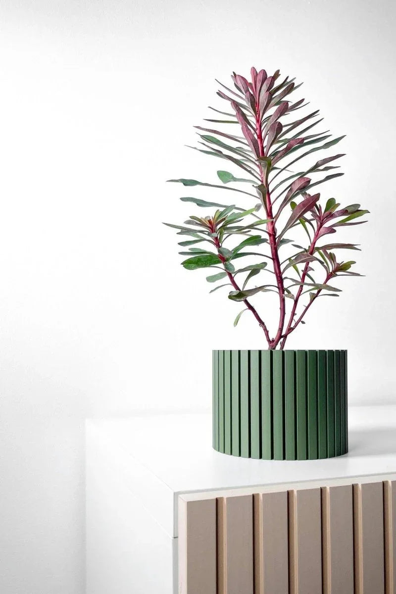 Vaso de Planta Zelno - Criativalia