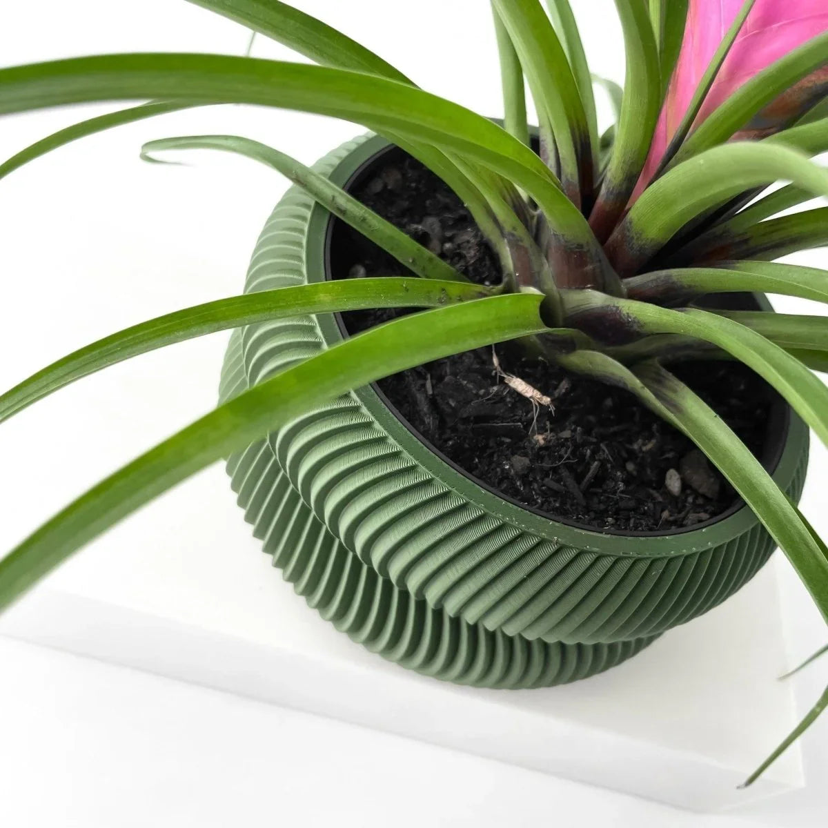Vaso De Plantas Avex - Criativalia