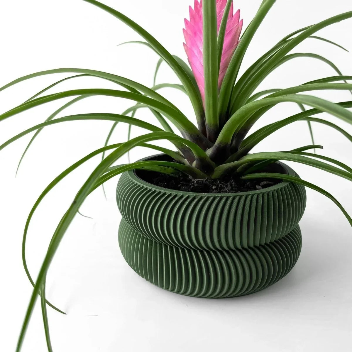 Vaso De Plantas Avex - Criativalia
