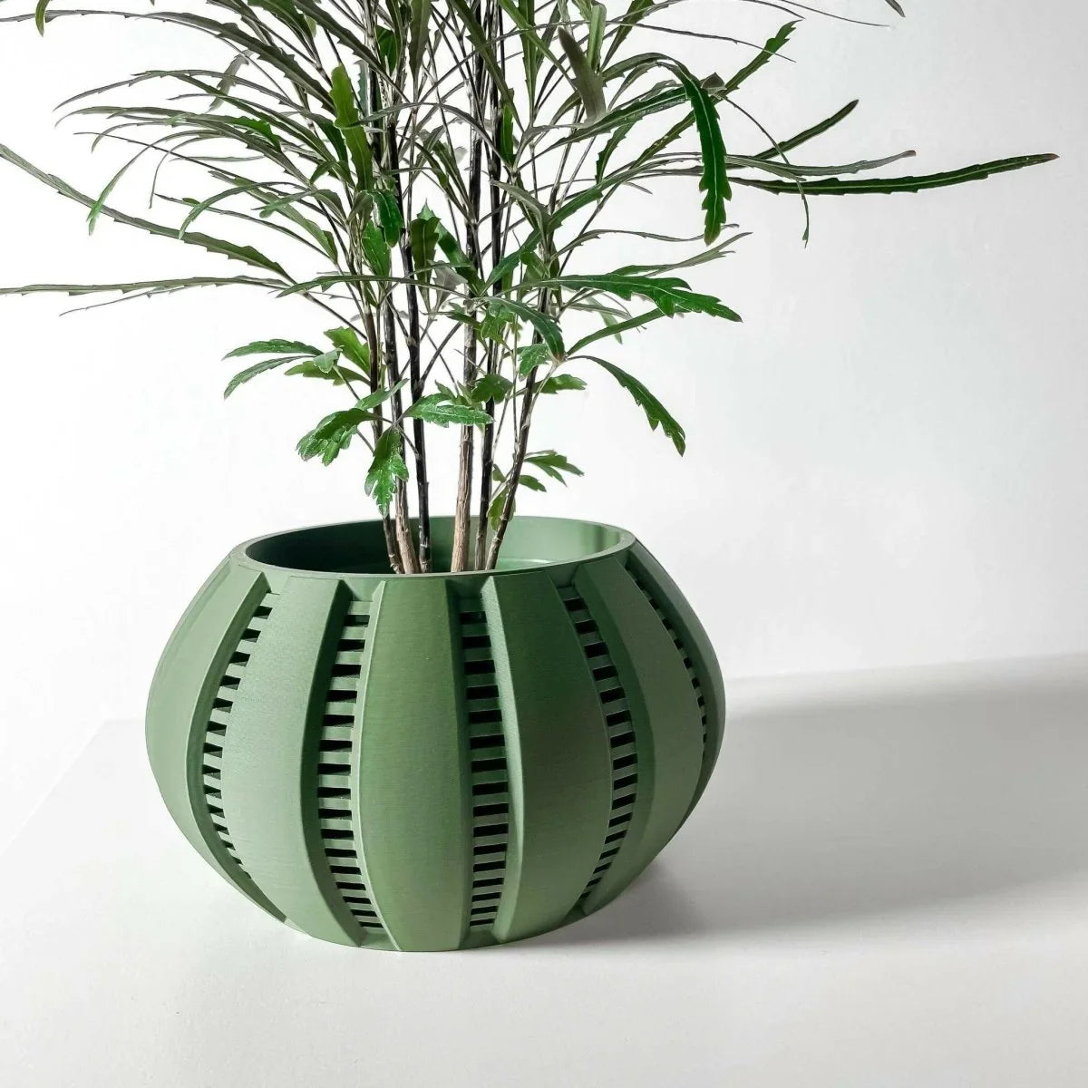 Vaso de plantas Balu - Criativalia