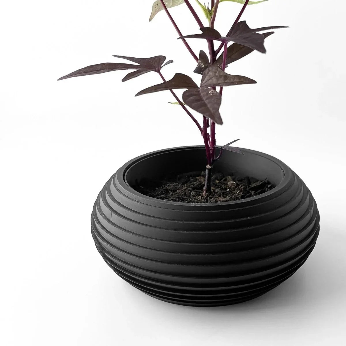 Vaso de Plantas Frons - Criativalia