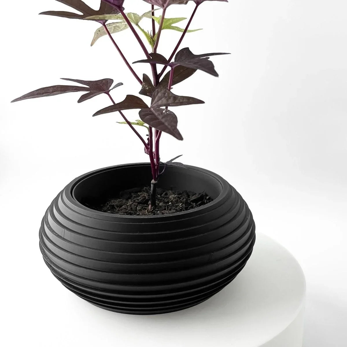 Vaso de Plantas Frons - Criativalia