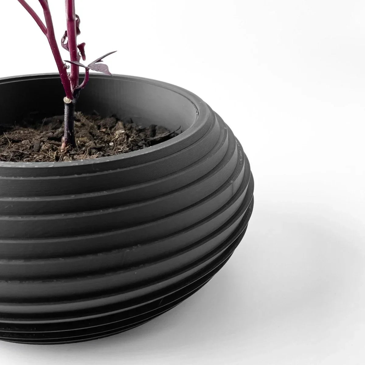 Vaso de Plantas Frons - Criativalia
