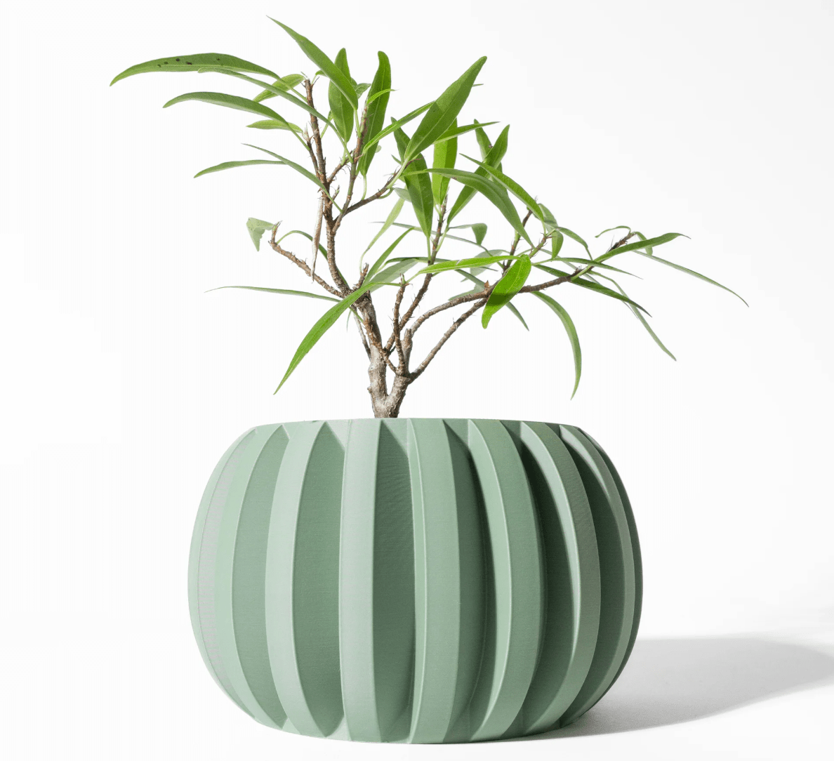 Vaso Jone – Beleza Sustentável e Artesanal para Suas Plantas - Criativalia