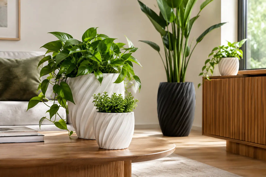 Tendências de decoração com plantas para 2026