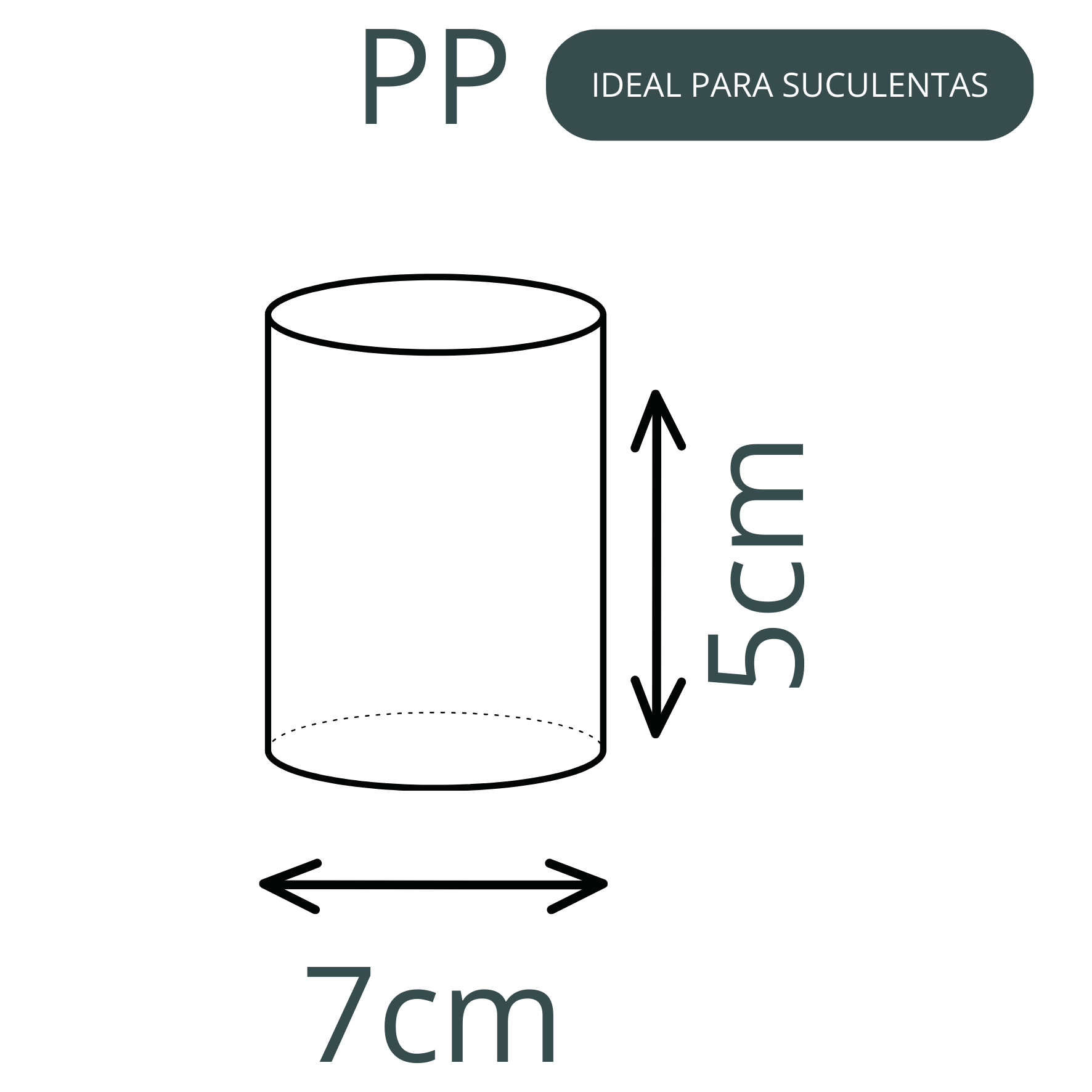 Vaso Decorativo Alune – Vaso para Planta com Design Moderno