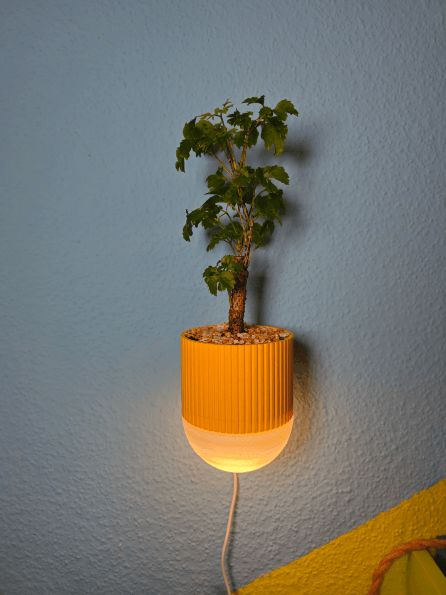 Arandela com Vaso de Plantas EcoDesign - Criativalia