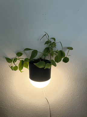 Arandela com Vaso de Plantas EcoDesign - Criativalia