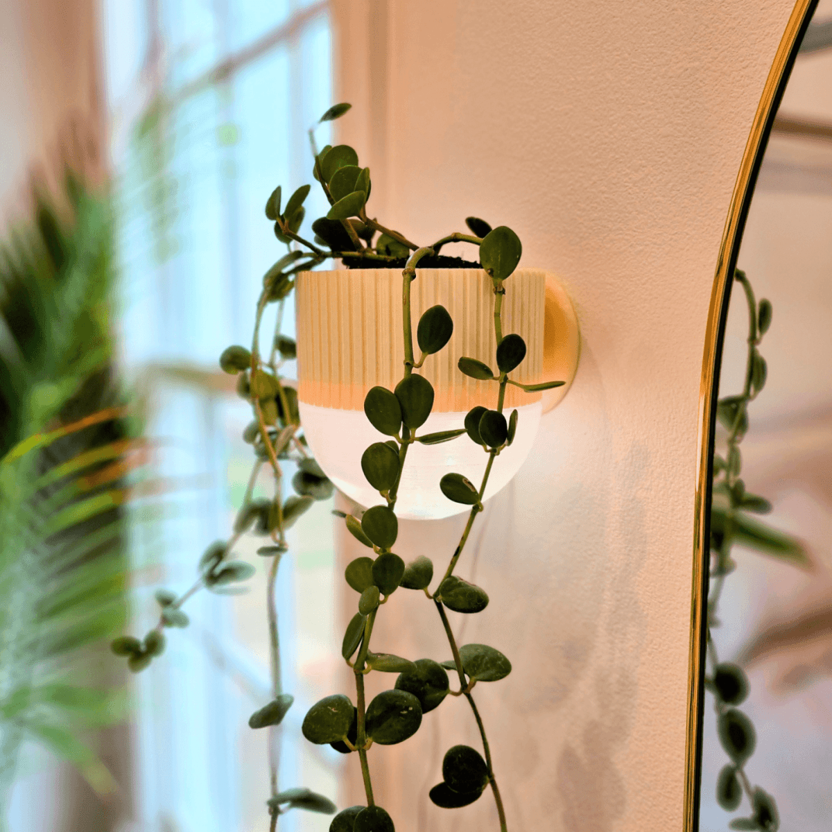 Arandela com Vaso de Plantas EcoDesign - Criativalia