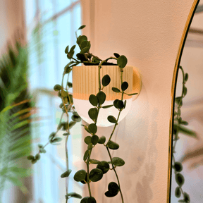 Arandela com Vaso de Plantas EcoDesign - Criativalia