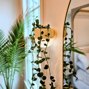 Arandela com Vaso de Plantas EcoDesign - Criativalia