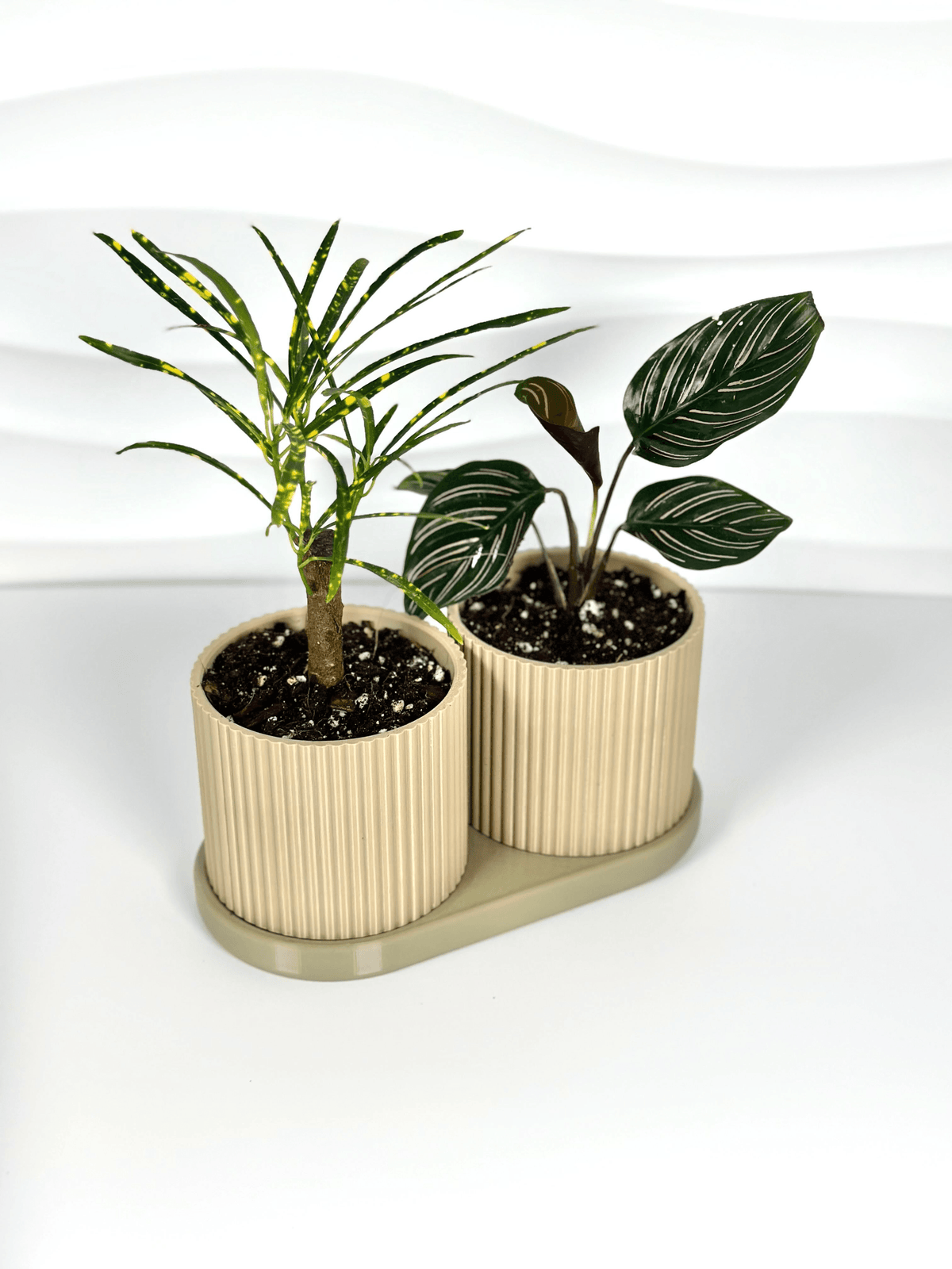 TWINDA – Vaso Duplo com bandeja coletora