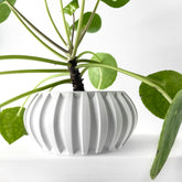 Vaso Decorativo Alden – Design Moderno para Plantas de Interior