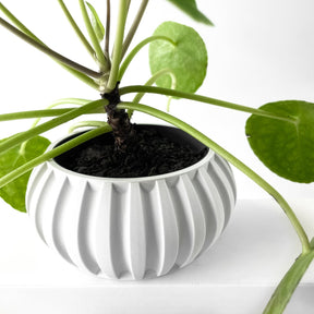 Vaso Decorativo Alden – Design Moderno para Plantas de Interior