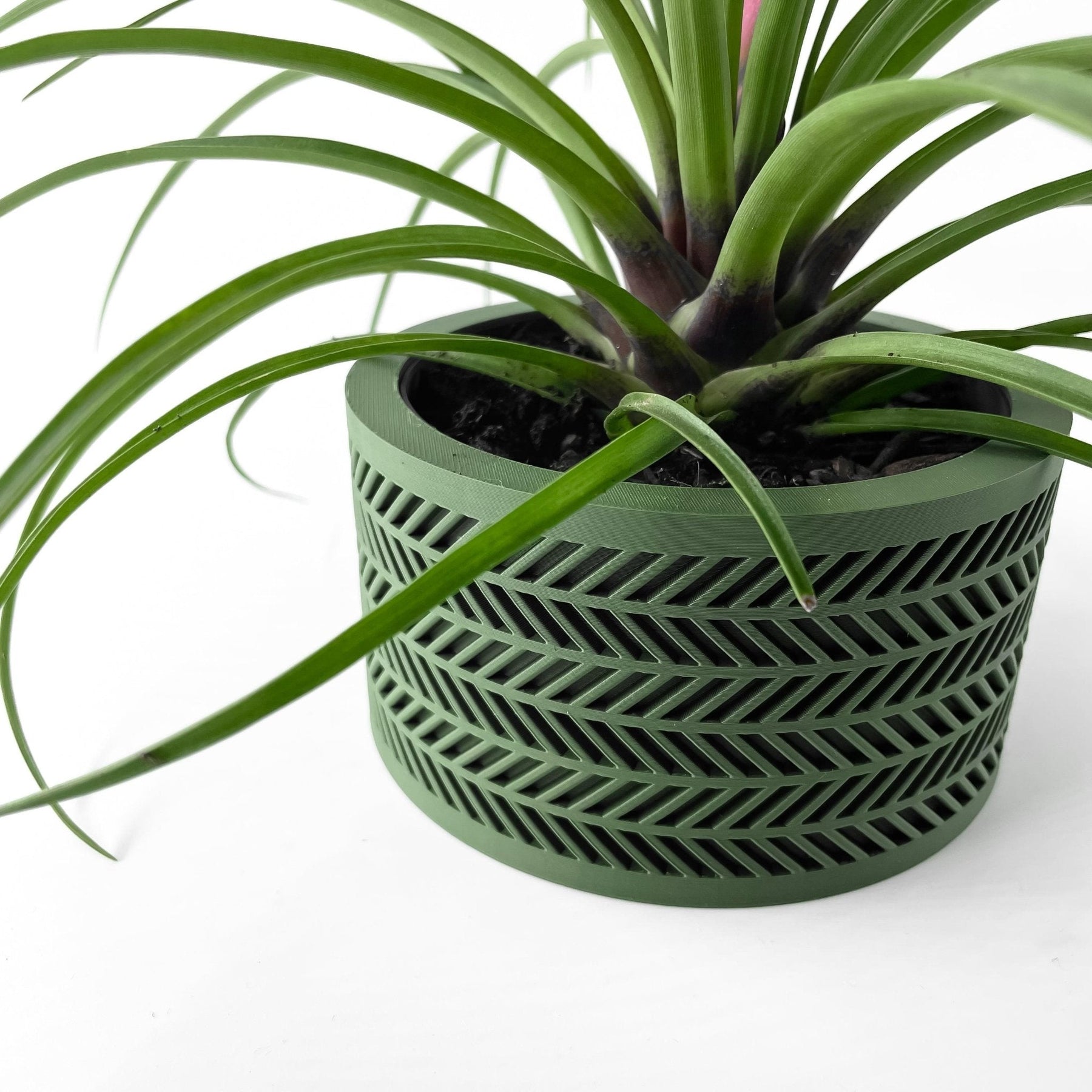 Vaso Decorativo Alune – Vaso para Planta com Design Moderno