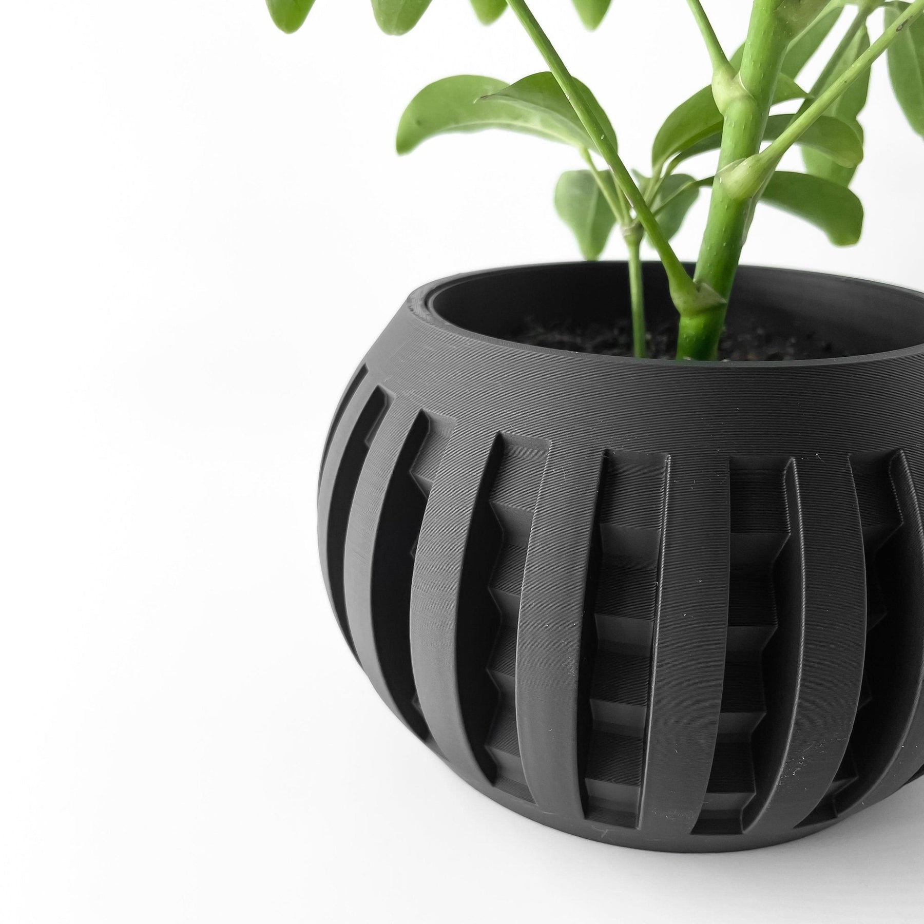 Vaso Decorativo Amada – Design Geométrico Contemporâneo Plantas de Interior