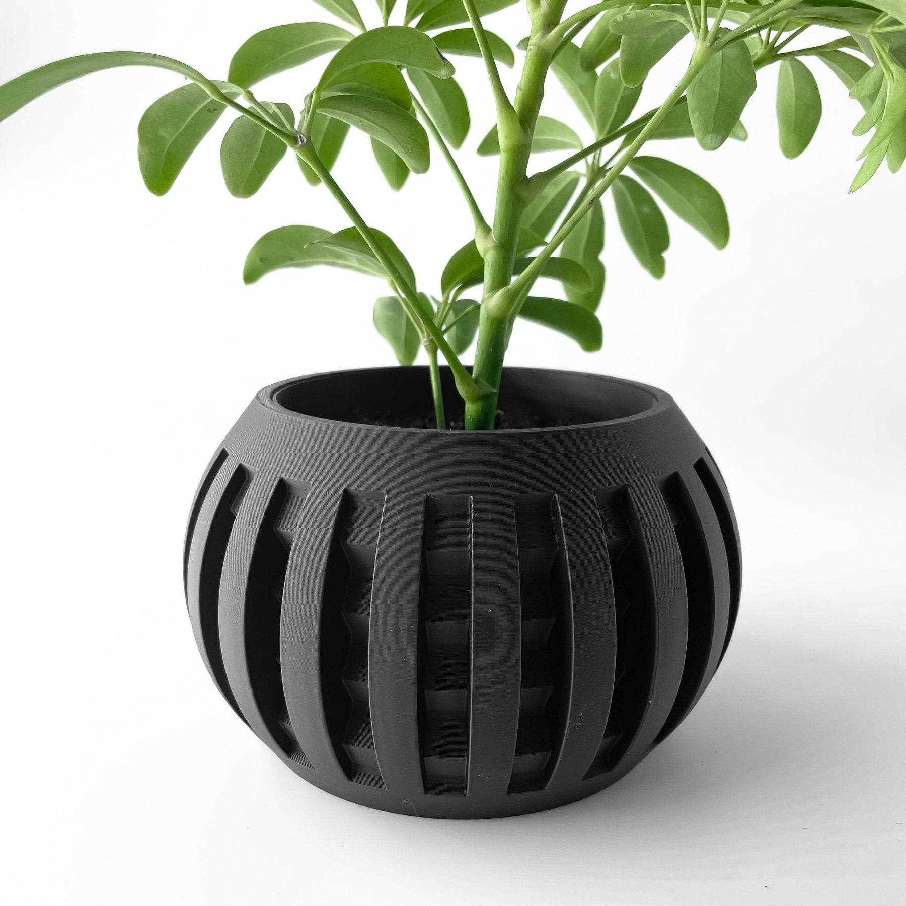 Vaso Decorativo Amada – Design Geométrico Contemporâneo Plantas de Interior