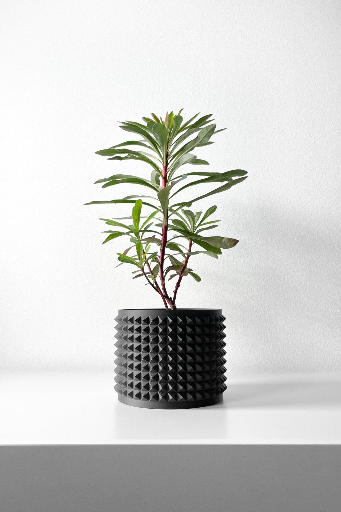 Vaso Decorativo Anver – Vaso para Planta com Design Geométrico