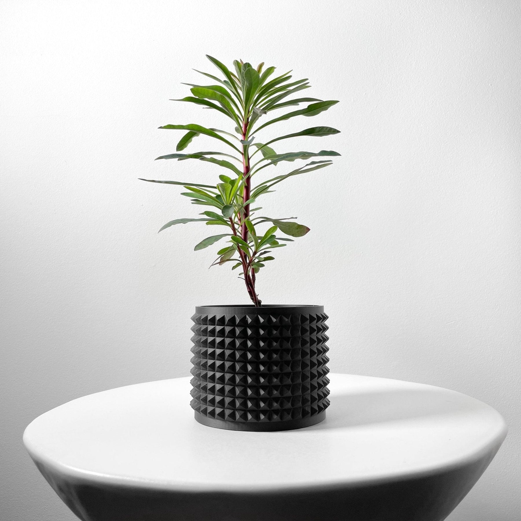 Vaso Decorativo Anver – Vaso para Planta com Design Geométrico