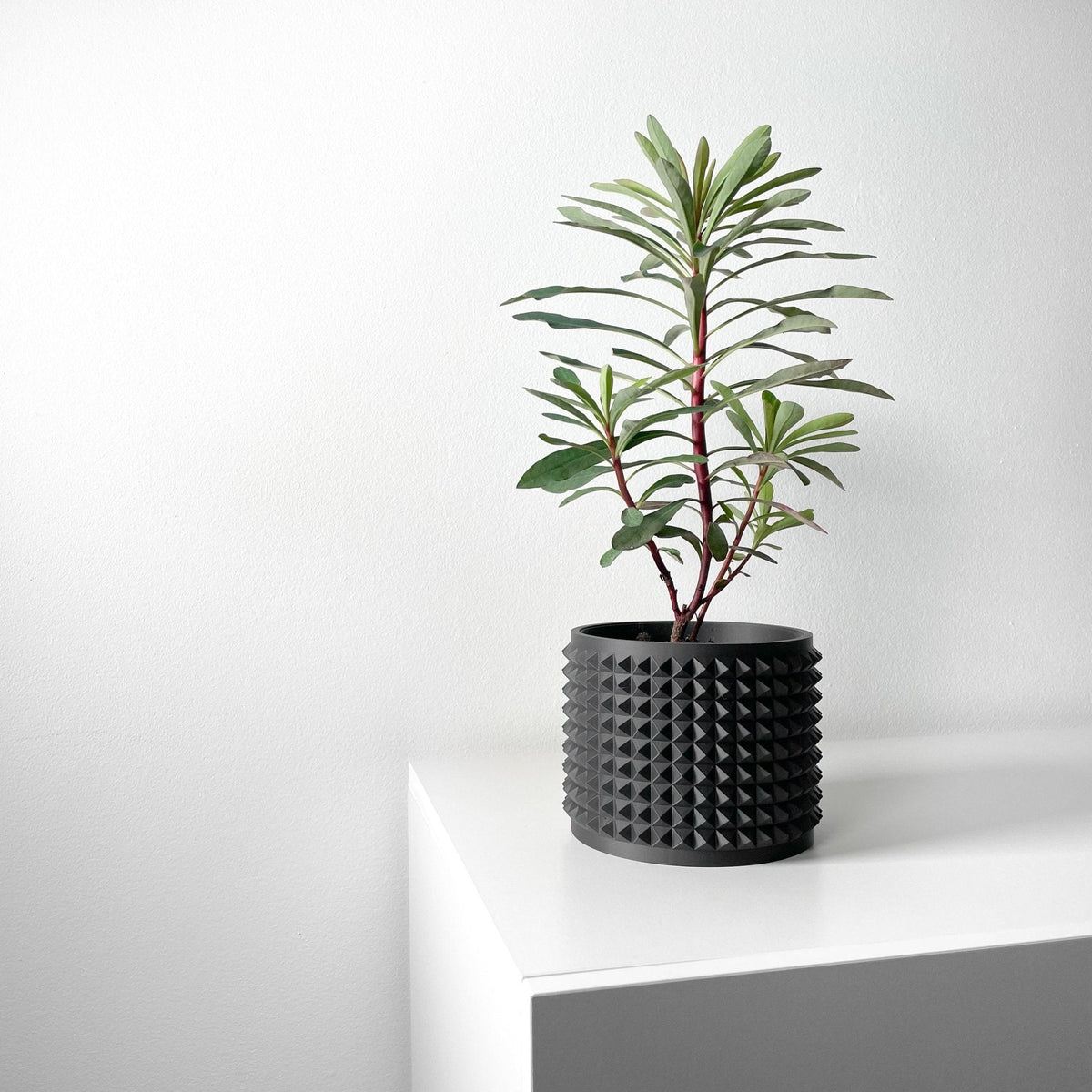 Vaso Decorativo Anver – Vaso para Planta com Design Geométrico