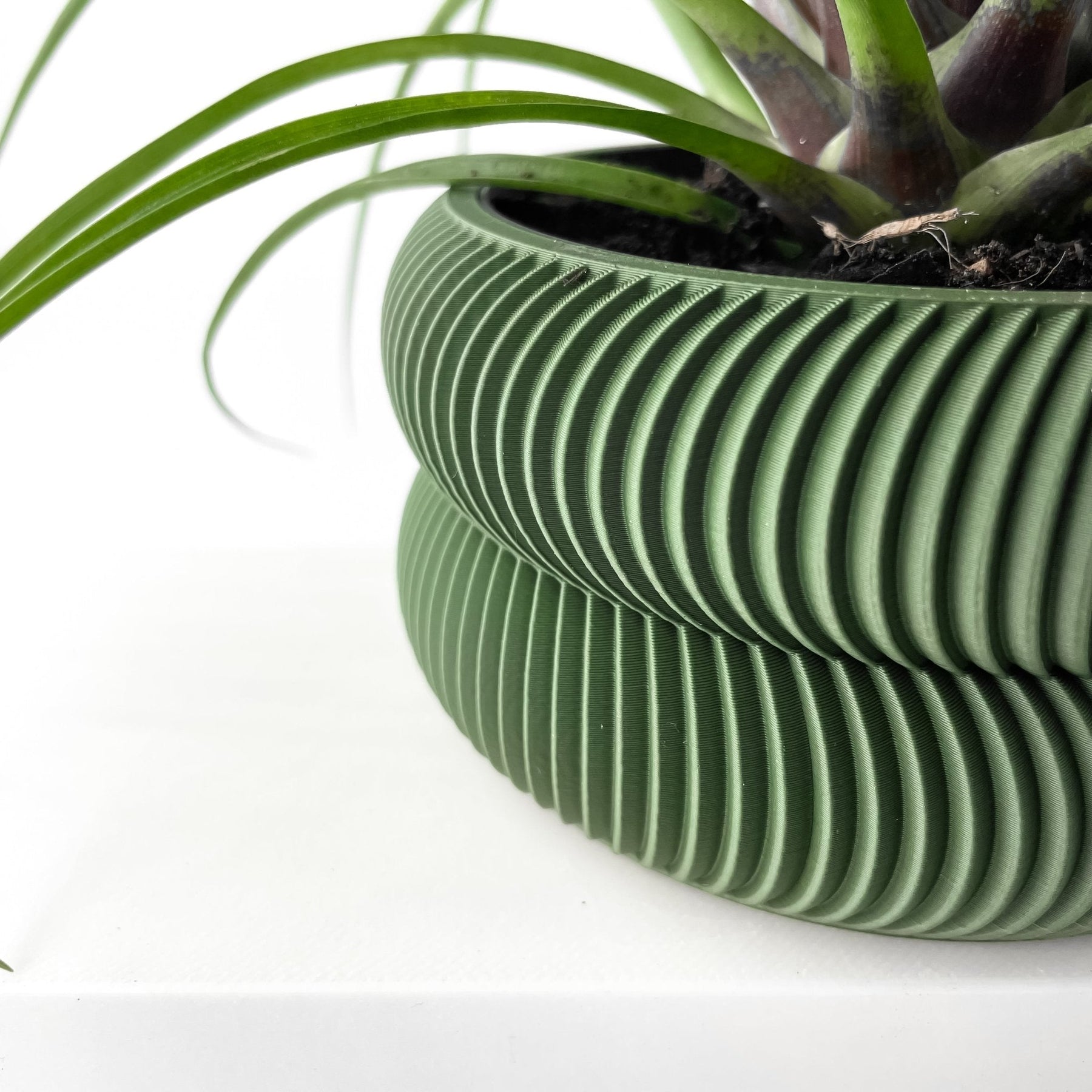 Vaso Decorativo Avex para Plantas - Design Moderno e Sustentável