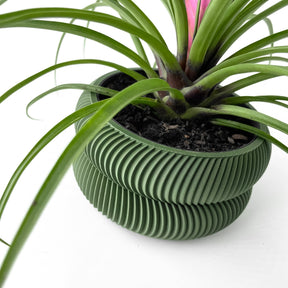 Vaso Decorativo Avex para Plantas - Design Moderno e Sustentável