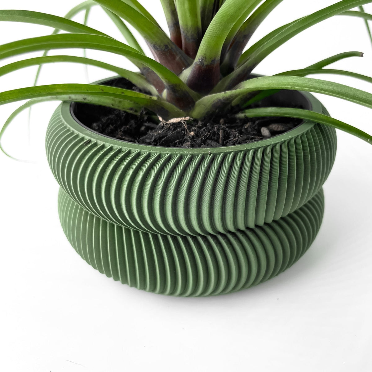 Vaso De Plantas Avex - Criativalia