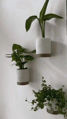 Trio Botânico - Vasos de Parede - Criativalia