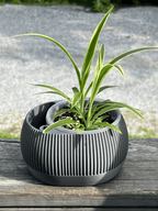 Vaso Autoirrigável com Nível de Água - Iris - Criativalia