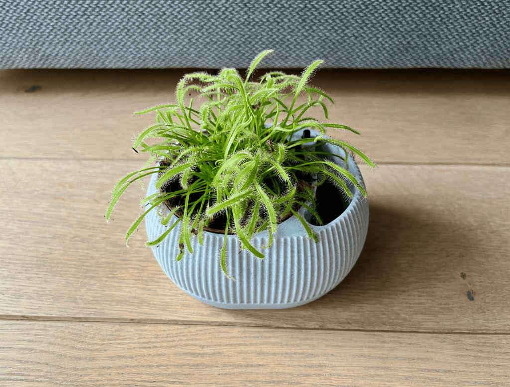 Vaso Autoirrigável com Nível de Água - Iris - Criativalia