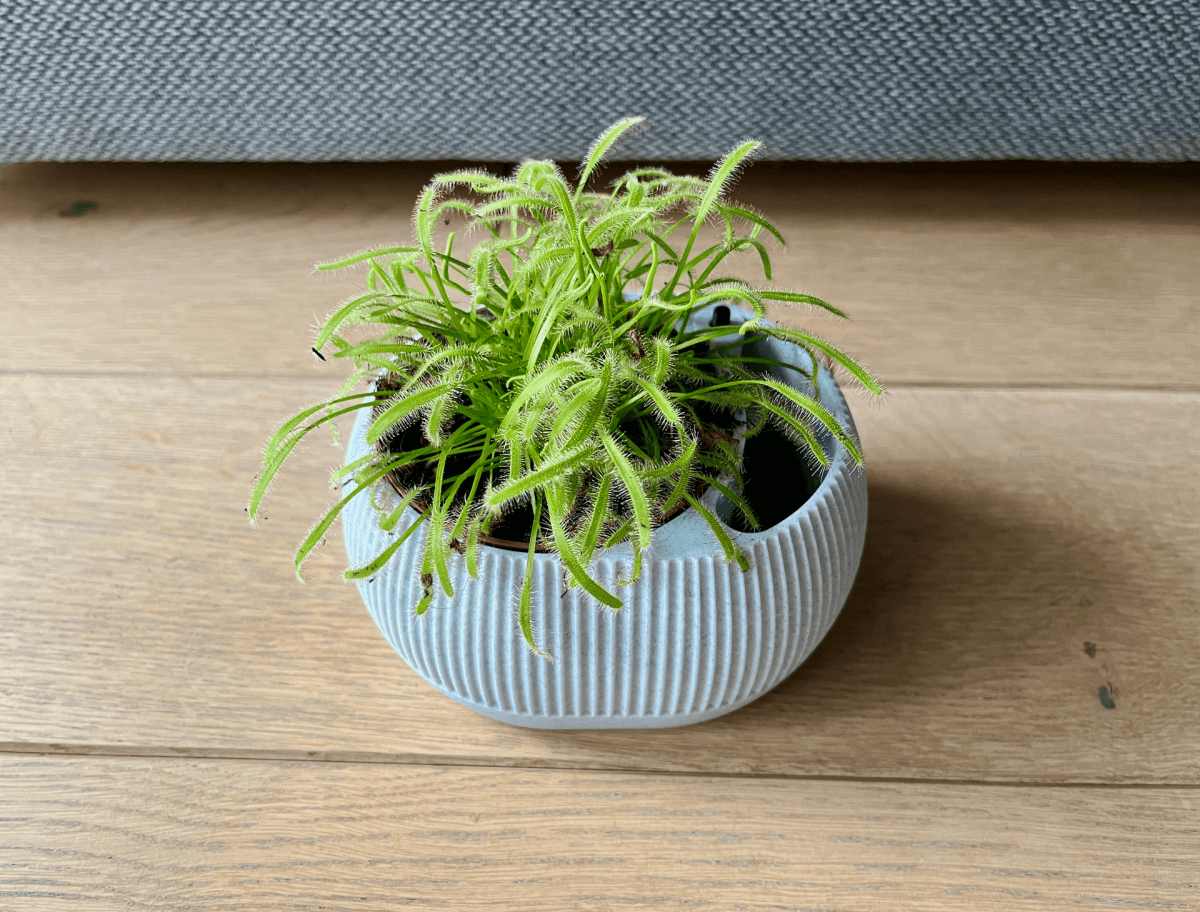 Vaso Autoirrigável com Nível de Água - Iris - Criativalia